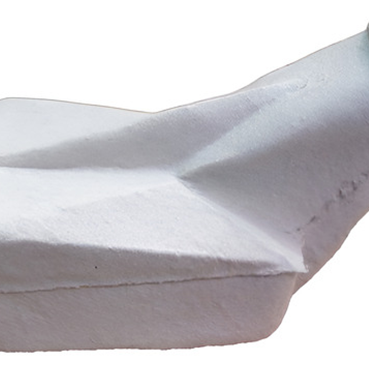 Pack 10u Urinario Pato Masculino Desechable Cartón Duro 3