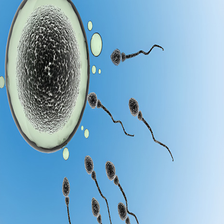 Kit De Prueba Densidad De Esperma Factor Fertilidad Hombres 3