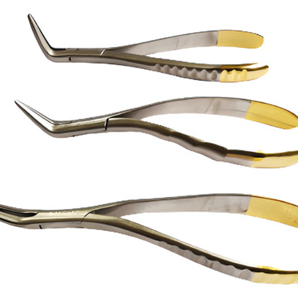 Set 3 Forcep Extracción Raíces Dentales Acero Inoxidable 1