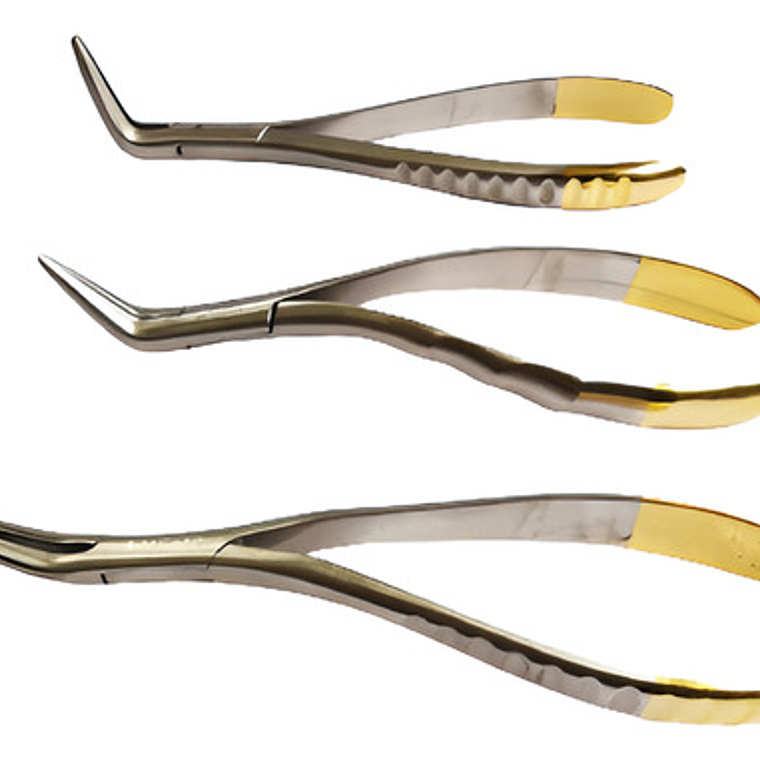 Set 3 Forcep Extracción Raíces Dentales Acero Inoxidable 1