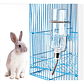 Bebedero Colgante 350 Ml Conejo Hamster Pequeñas Mascotas - Miniatura 6