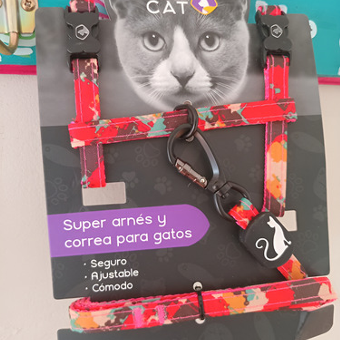 Set Arnés + Correa Premium Para Gato Wondercat Mascotas 3