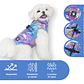 Parka Perro Extragrande Galaxy Impermeable Mascotas - Miniatura 2