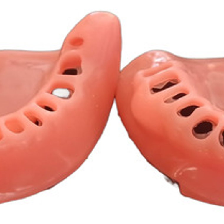 Encía De Repuesto Para Modelo Modelo Cirugía Oral Colgajos 2