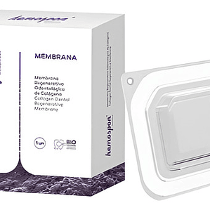 Membrana Regenerativa Dental Hemospon Cirugía Oral Maxilofac