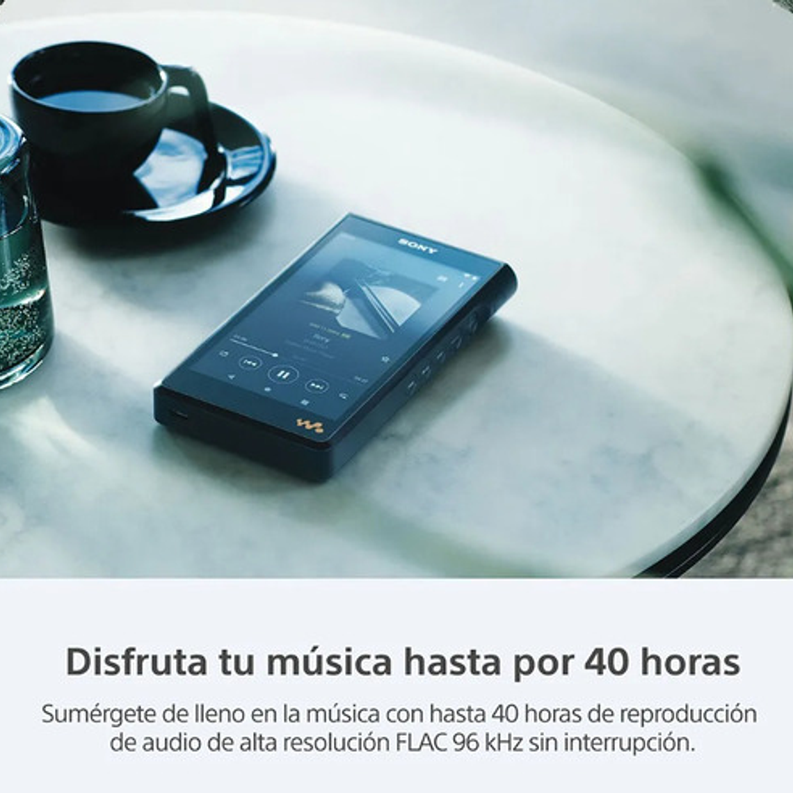Sony Walkman Wm1am2 Reproductor Multimedia Digit. Lo Último 7