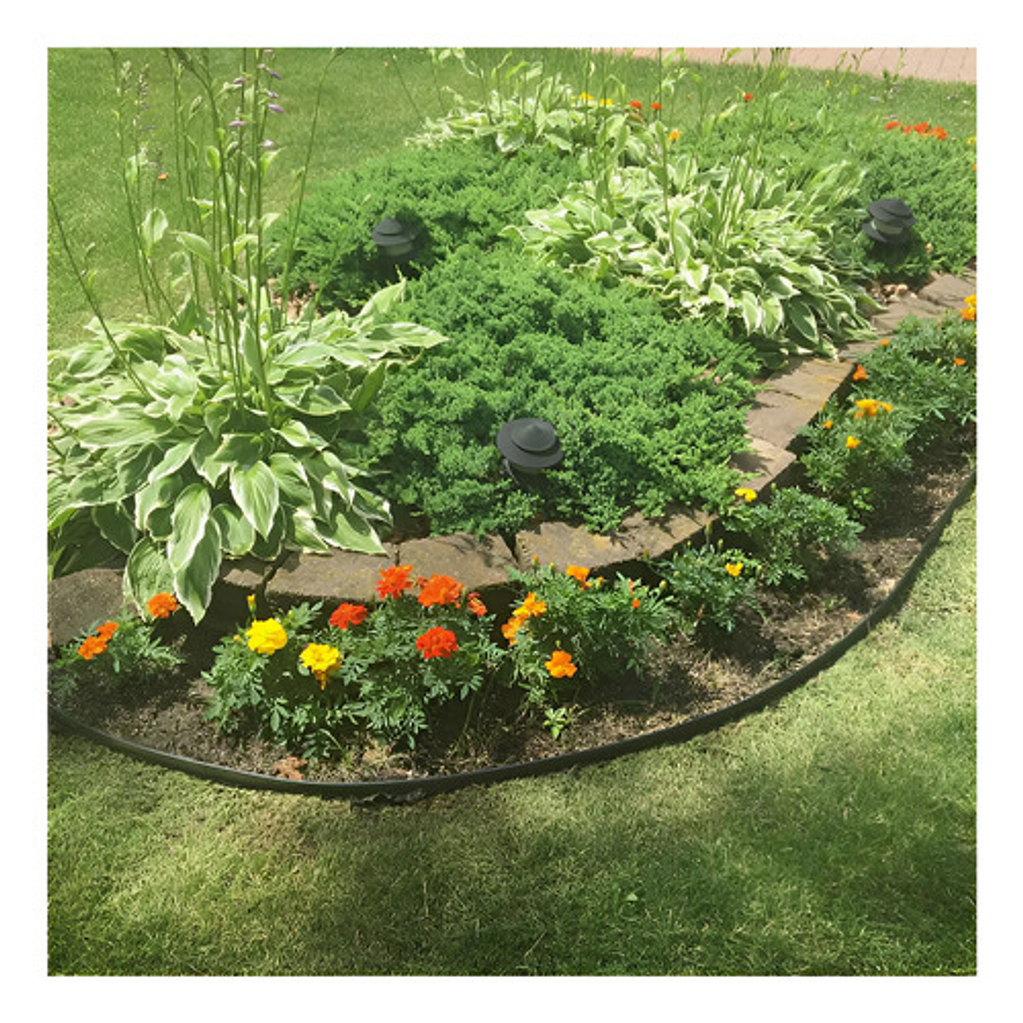 Limitador De Jardín Separador De Césped Verde O Negro 10m 2