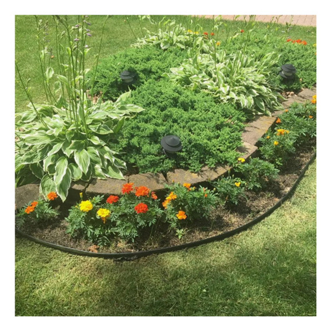 Limitador De Jardín Separador De Césped Verde O Negro 10m 15