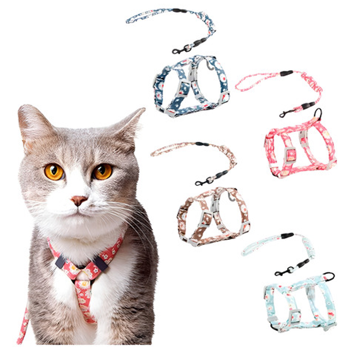 Traílla De Cordón Gato + Arnés Tipo H Wondercat Original 1