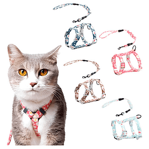 Traílla De Cordón Gato + Arnés Tipo H Wondercat Original