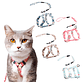 Traílla De Cordón Gato + Arnés Tipo H Wondercat Original - Miniatura 1