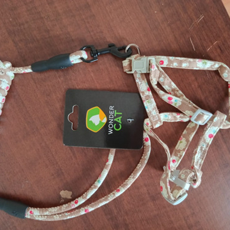Traílla De Cordón Gato + Arnés Tipo H Wondercat Original 7