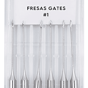 Fresas Gates Dental Endodoncia Despacho Express