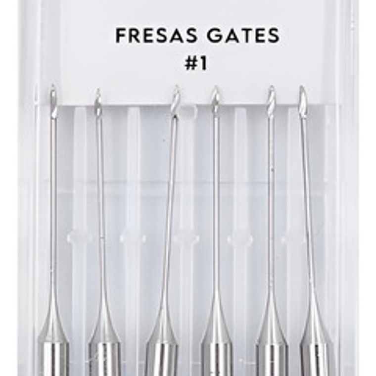 Fresas Gates Dental Endodoncia Despacho Express 1