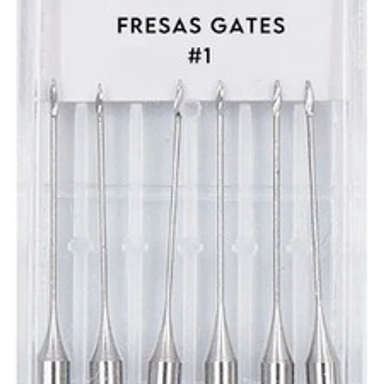 Fresas Gates Dental Endodoncia Despacho Express 19