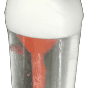 Diente Incisivo Central Para Práctica Endodoncia Enseñanza