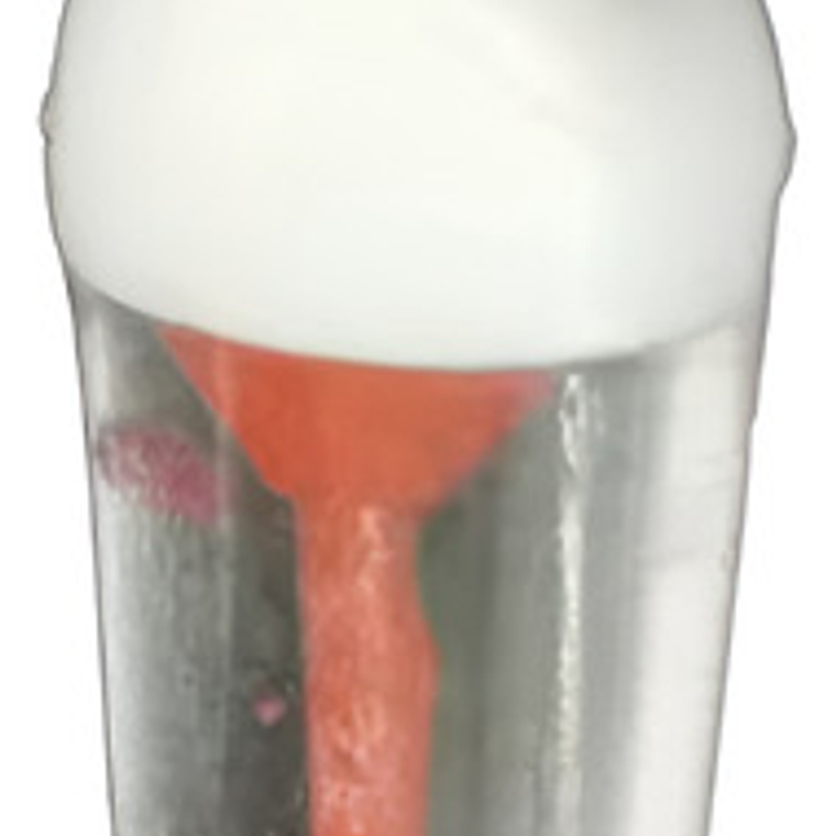 Diente Incisivo Central Para Práctica Endodoncia Enseñanza 1