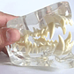 Modelo Dental Veterinario Perro Dentición Canina Calidad - Miniatura 4