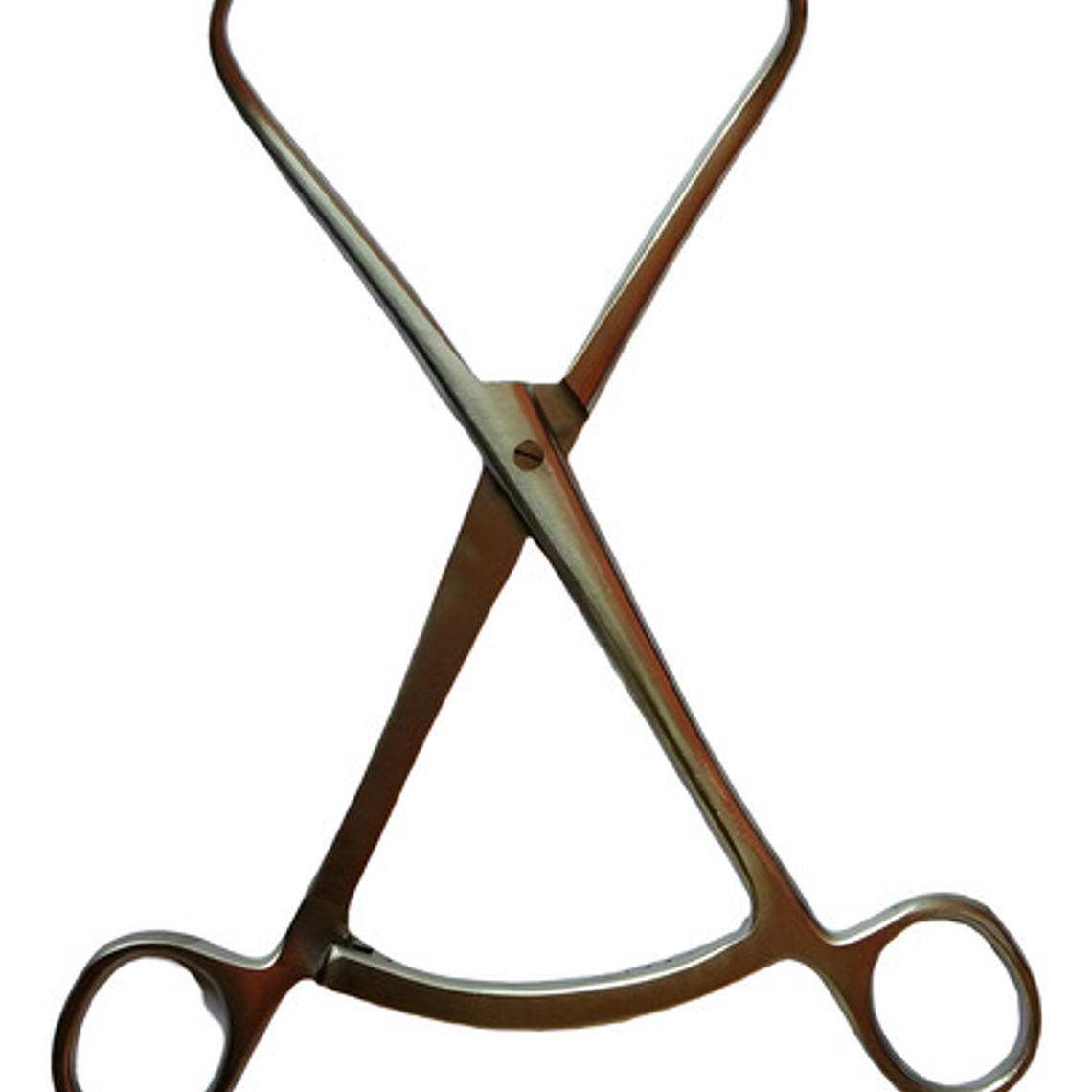 Pinza Reposición Hueso Bone Reduction Pacard 10 O 13cms 10