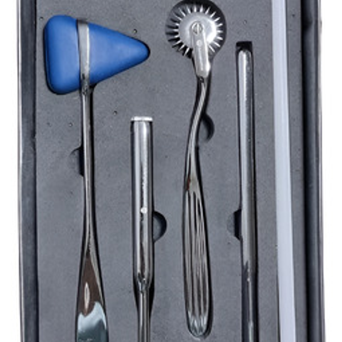 Set Examen Neurológico Xl Médico/veterinario Original Pacard 2