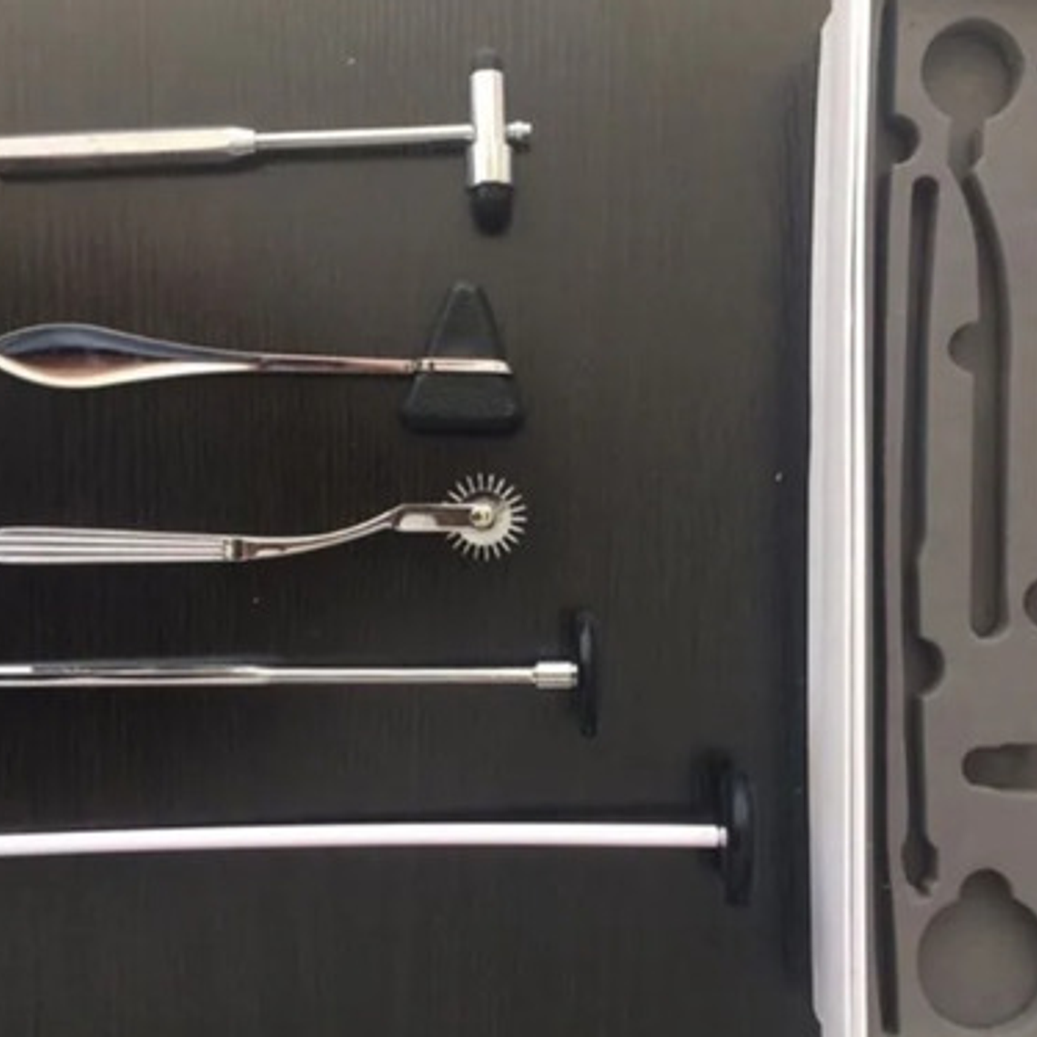 Set Examen Neurológico Xl Médico/veterinario Original Pacard 4