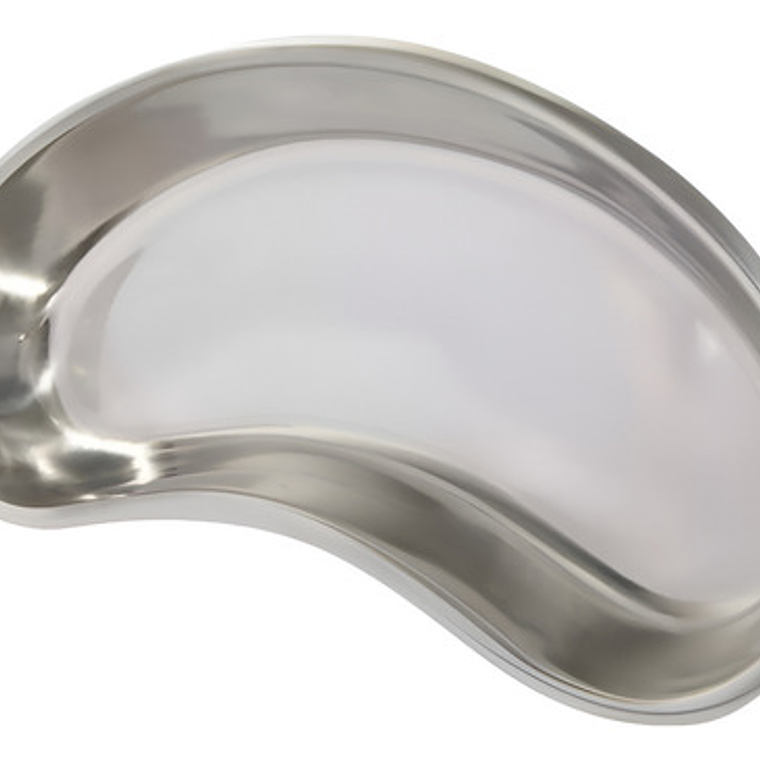 Bandeja Riñonera Acero Inoxidable Médico Dental Spa 20cms 1
