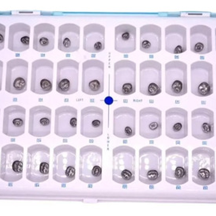 Set Coronas Metálicas Pediátricas Dental 48 Piezas Calidad 2