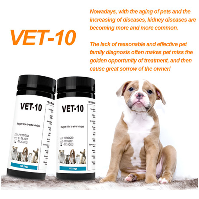Set Tiras Medición Veterinario Orina Vet 10 Parámetros React 2