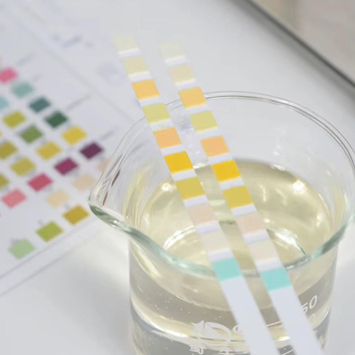 Set Tiras Medición Veterinario Orina Vet 10 Parámetros React 4