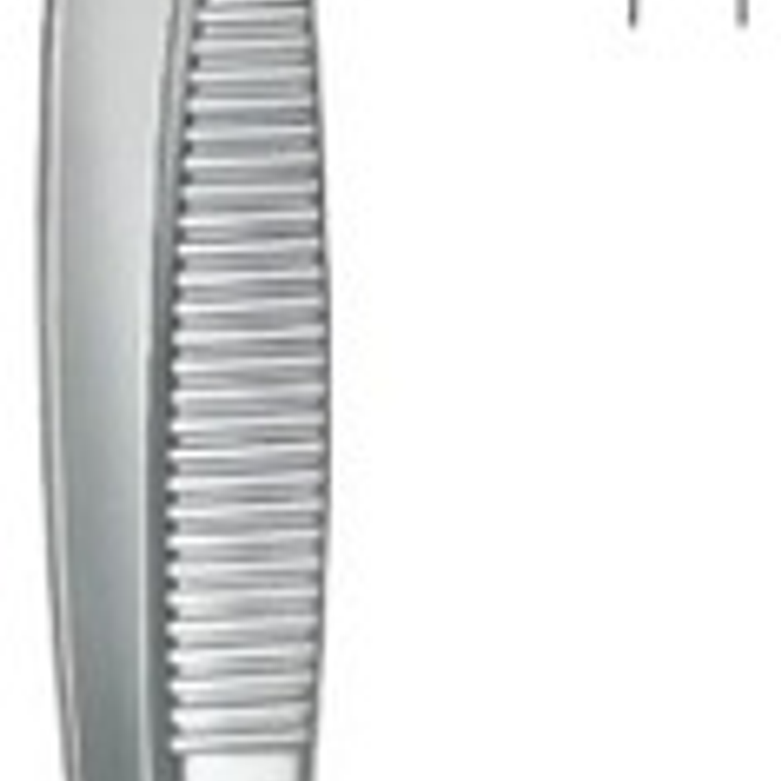 Pinza Quirúrgica Dientes De Ratón 14cms Pacard Tipo De Pinza 14cm 4