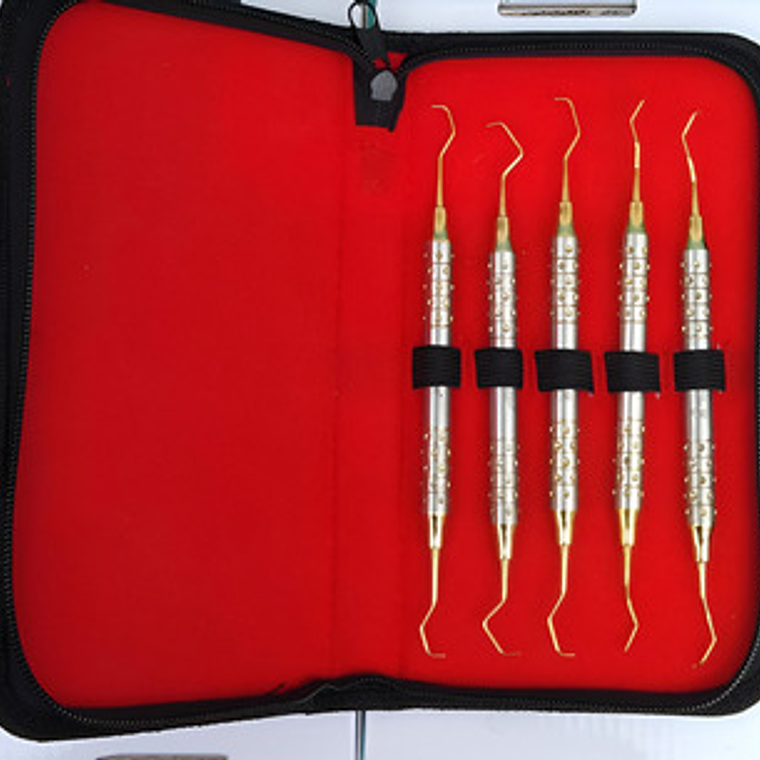 Set De 5 Curetas Estilo Gracey Periodoncia Pacard En Estuche Color Dorado 2