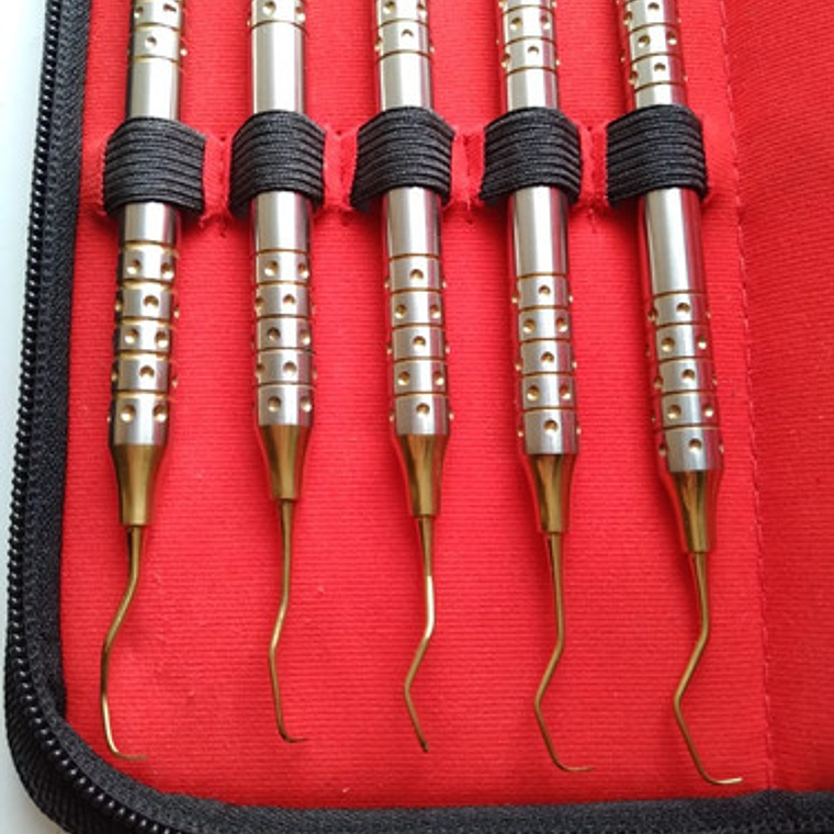 Set De 5 Curetas Estilo Gracey Periodoncia Pacard En Estuche Color Dorado 3