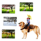 Disfraz Para Perros Y Gatos Con Jinete De Vaquero Dif Tallas - Miniatura 4
