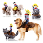 Disfraz Para Perros Y Gatos Con Jinete De Vaquero Dif Tallas - Miniatura 12