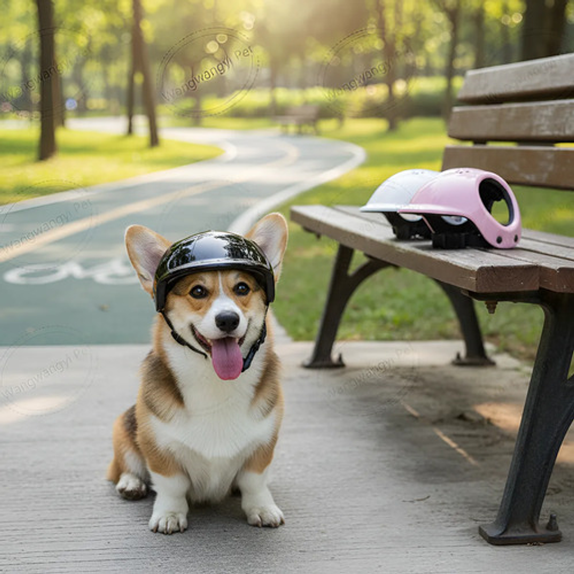 Cascos Para Perros-gatos Uso Moto, Bicicleta Y Protección 2