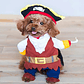 Disfraz Halloween Pirata Para Perro Gato Con Sombrero Y Capa - Miniatura 10