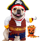 Disfraz Halloween Pirata Para Perro Gato Con Sombrero Y Capa - Miniatura 13