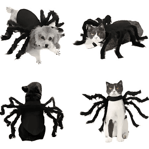 Disfraz Perro Gato Diseño Araña Halloween Y Risas Tamaños