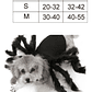Disfraz Perro Gato Diseño Araña Halloween Y Risas Tamaños - Miniatura 8