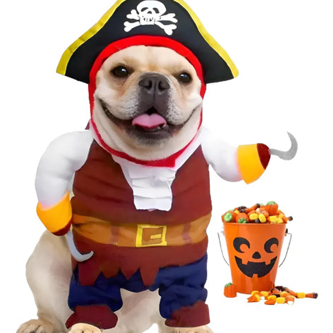 Disfraz Halloween Pirata Para Perro Gato Con Sombrero Y Capa Color Talla L 1