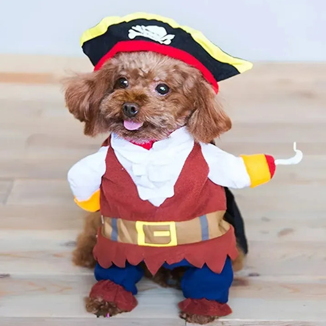 Disfraz Halloween Pirata Para Perro Gato Con Sombrero Y Capa Color Talla L 4