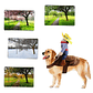 Disfraz Para Perros Y Gatos Con Jinete De Vaquero Dif Tallas Color Talla L - Miniatura 4