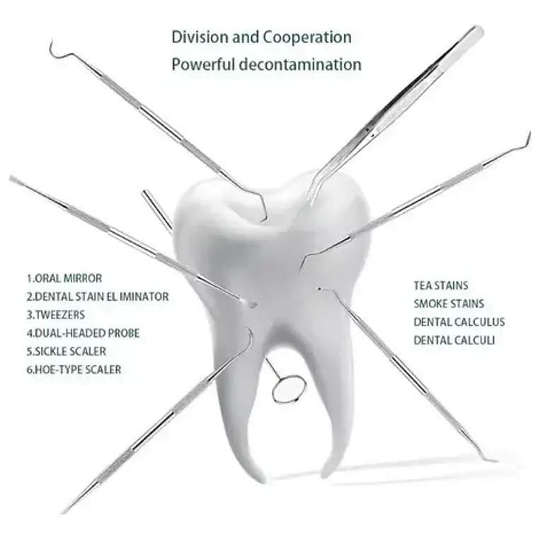 Set Xl Examen Dental Cuchareta Espátulas Y Más 6 Con Estuche Rosa 3