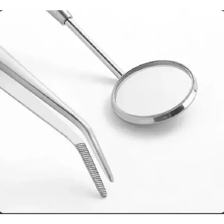 Set Xl Examen Dental Cuchareta Espátulas Y Más 6 Con Estuche Rosa 4