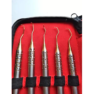 Set De 5 Curetas Estilo Gracey Periodoncia Pacard En Estuche Color Dorado