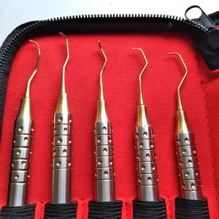 Set De 5 Curetas Estilo Gracey Periodoncia Pacard En Estuche Color Dorado 1