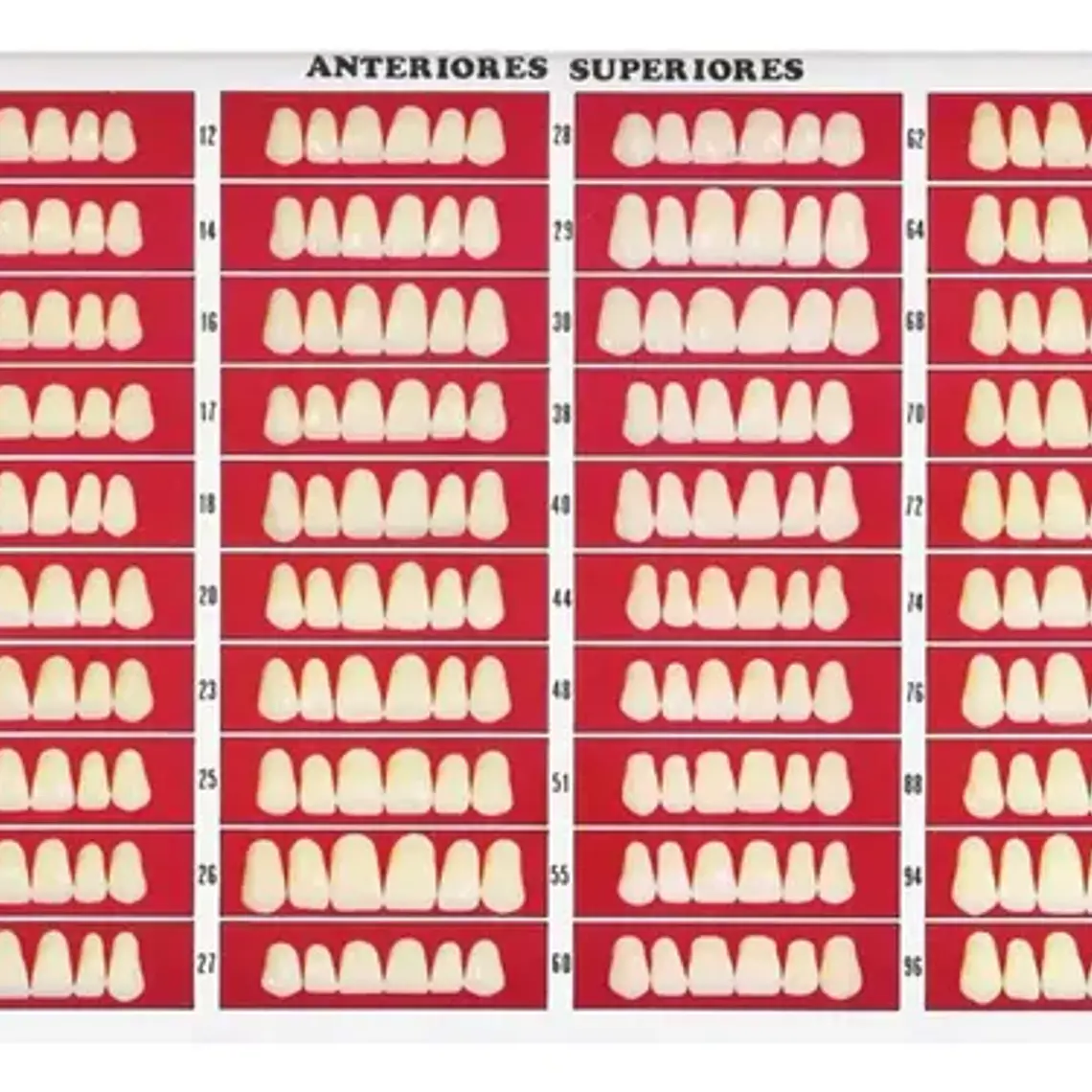 Catálogo De Moldes Para Dientes Marche En Papel 2