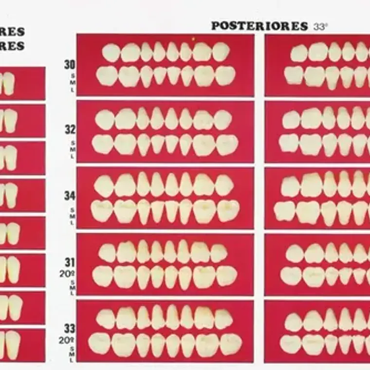 Catálogo De Moldes Para Dientes Marche En Papel 3