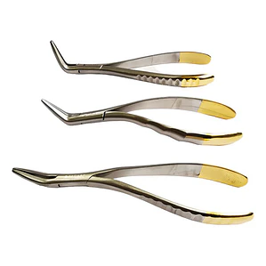 Set 3 Forcep Extracción Raíces Dentales Premium Marca Pacard Extracción Raíces