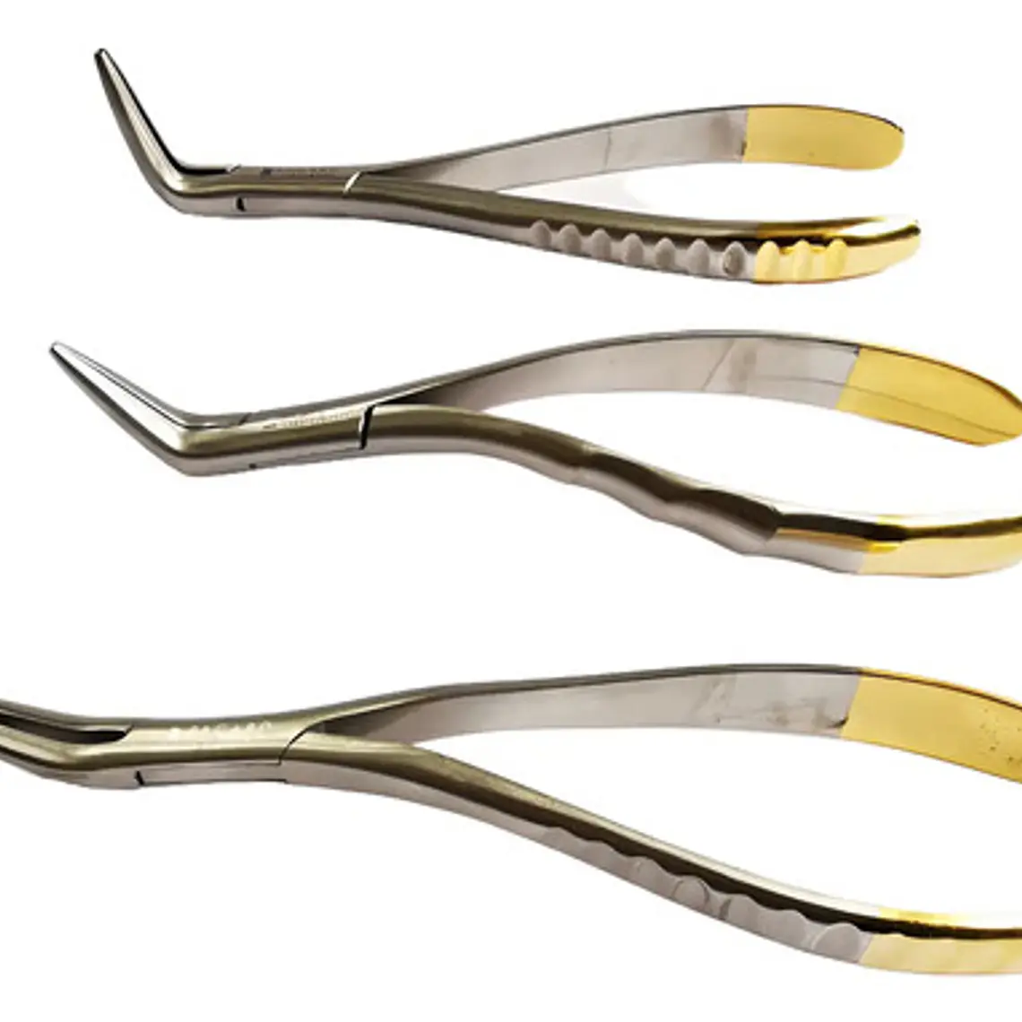Set 3 Forcep Extracción Raíces Dentales Premium Marca Pacard Extracción Raíces 1